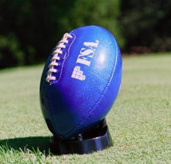 Customised American football  in panna